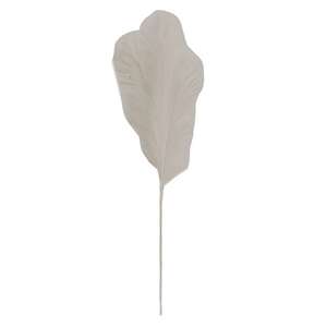 Pampas Grass Pick, 28", White 18218;