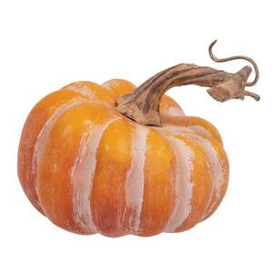 Orange Pumpkin in a Bag, 5/Set 18220;
