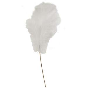 Weeping Pampas Grass Branch, White 18226;