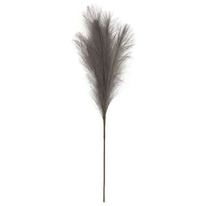 Pampas Grass Pick, 28", Gray 18232;