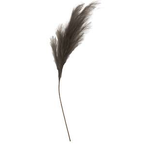 Weeping Pampas Grass Branch, Gray 18277;