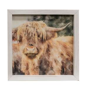 Shaggy Steer Framed Portrait 36238;