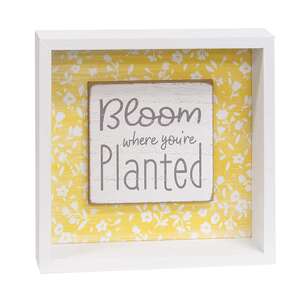 Bloom Where You're Planted Shadowbox Sign 36972;