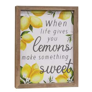 When Life Gives You Lemons Framed Sign 37052;