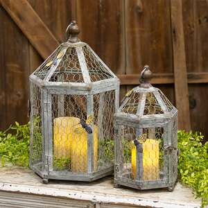 2 Set, Rustic Bee Metal Birdcage with Chicken Wire