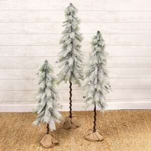 Snowy Bristle Pine & Boughs Tree w/Burlap Base, 34" QE152547;