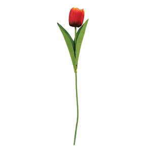 Sunset Tulip Stem, 17.5" 18300;
