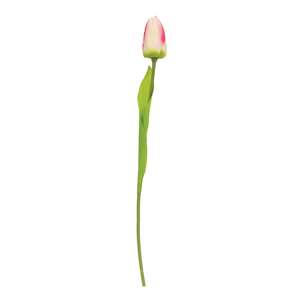 Champagne Tulip Stem, 15.5" 18305;