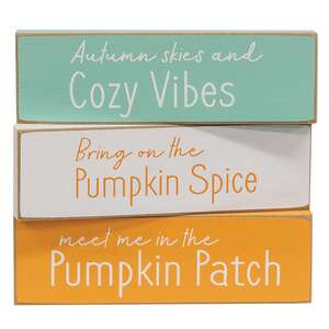 Cozy Vibes Skinny Mini Block, 3 Asstd. 37279;