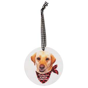 Winter Wonder-Lab Round Ornament, 3 Asstd.