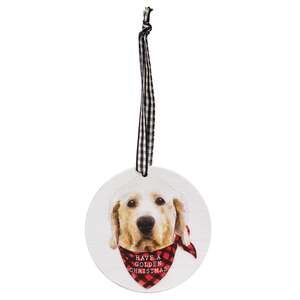 Winter Wonder-Lab Round Ornament, 3 Asstd.