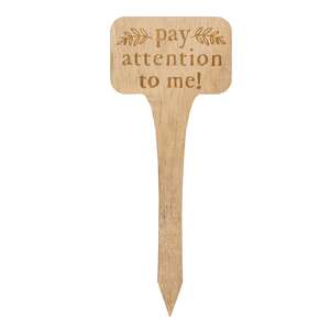 Pay Attention to Me House Plant Poke, 4 Asstd. 37750;