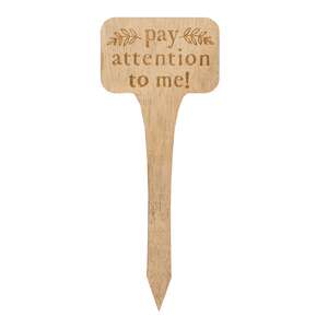 Pay Attention to Me House Plant Poke, 4 Asstd. 37750;