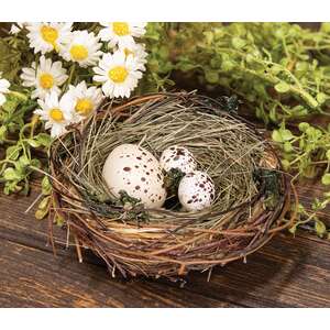 Speckled Egg Trio In Nest SHN5484;