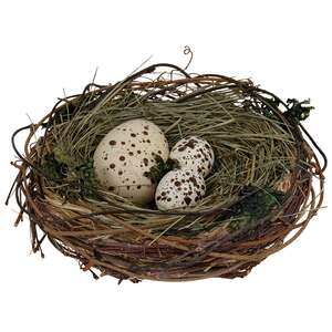Speckled Egg Trio In Nest SHN5484;