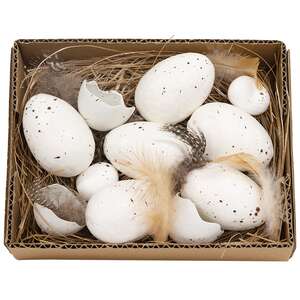White Speckled Eggs in Box