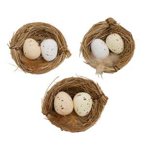 Natural Eggs in Nests, 6/Set SHNE4004;