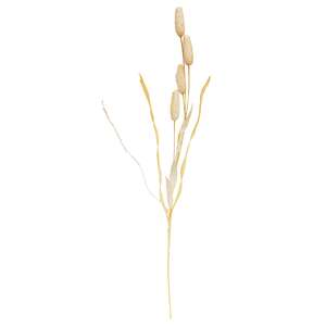 Wispy Late Summer Bunny Tail & Dried Grass Spray