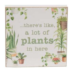 Hoarding Plants Block - 2 Asstd.