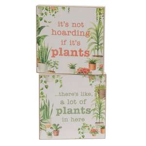 Hoarding Plants Block - 2 Asstd.