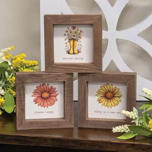Daisy Framed Sign - 3 Asstd.