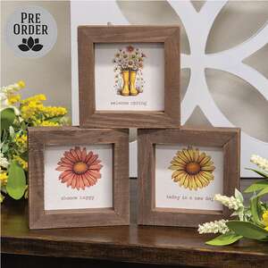 Daisy Framed Sign - 3 Asstd.