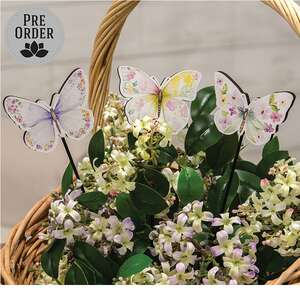Floral Butterfly Poke - 3 Asstd.