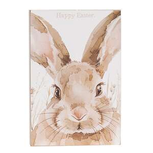 Happy Easter or Spring Watercolor Bunny Box Sign - 2 Asstd.