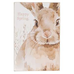 Happy Easter or Spring Watercolor Bunny Box Sign - 2 Asstd.