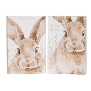 Happy Easter or Spring Watercolor Bunny Box Sign - 2 Asstd.
