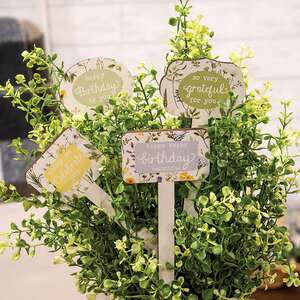 Gifting Plant Poke - 4 Asstd.