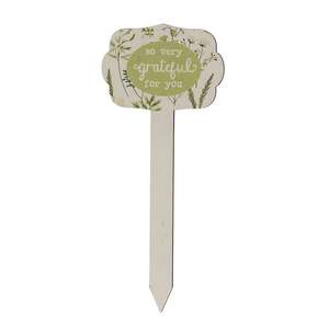 Gifting Plant Poke - 4 Asstd.