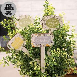 Gifting Plant Poke - 4 Asstd.