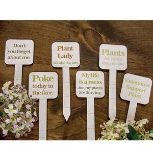 Plant Lady Poke - 6 Asstd.