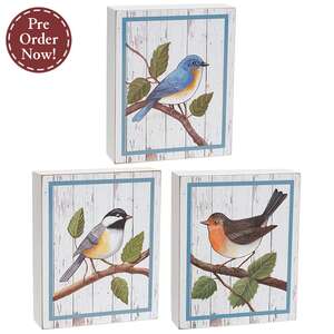 Rustic Bird Box Sign - 3 Asstd.
