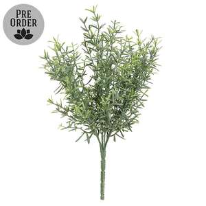 Dusty Rosemary Bush - 11-1/2 In