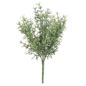 Dusty Rosemary Bush - 11-1/2 In
