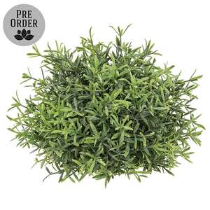Dusty Rosemary Half Sphere - 6-1/2 In