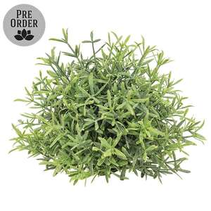 Dusty Rosemary Half Sphere - 5-1/2 In