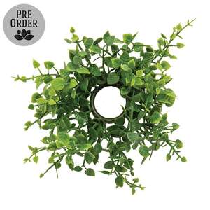 Verdant Baby Eucalyptus Candle Ring - 1 In