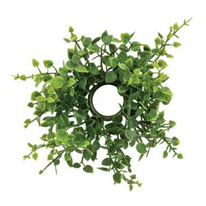 Verdant Baby Eucalyptus Candle Ring - 1 In