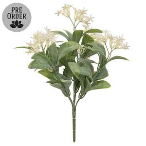 White Jasmine Bush - 10 In