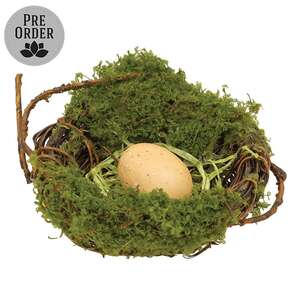 Mossy Twig Bird Nest w/Speckled Cream Egg - 4 In