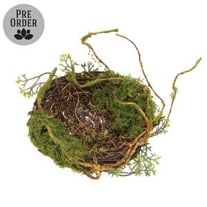 Mossy Twig Bird Nest - 6 In