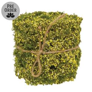 New Growth Moss Ribbon - 3 In x 6 Ft