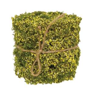 New Growth Moss Ribbon - 3 In x 6 Ft