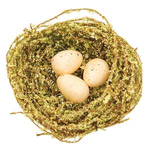 6/Set - Mini Speckled Eggs in Mossy Nests