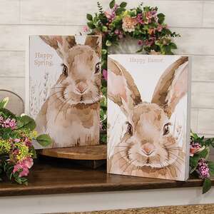 Happy Easter or Spring Watercolor Bunny Box Sign - 2 Asstd., 39078