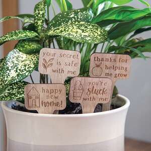 You're Stuck With Me House Plant Poke, 4 Asstd. 37585;