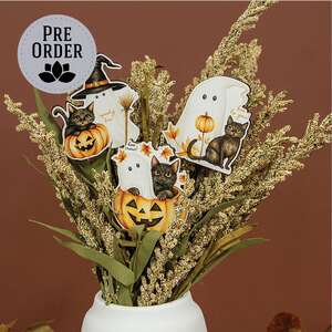 Spooky Boo Wooden Plant Poke - 3 Asstd.